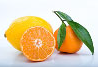 Interesting  Foods: Health for Life - Citrus Fruits