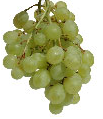 Interesting Foods: Health for Life - Grapes