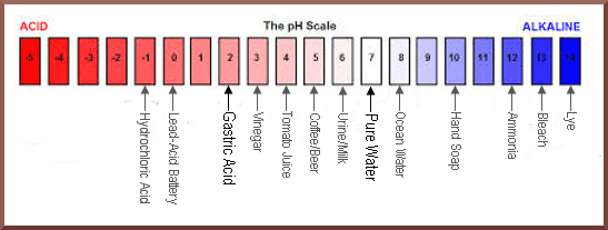Low Stomach Acid: pH Scale